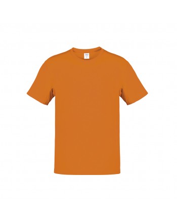 Camiseta Adulto Color